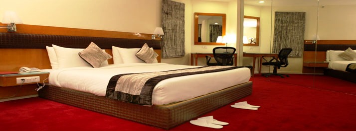 1251/Hotel Ramhan Palace Mahipalpur - New Delhi 08.jpg